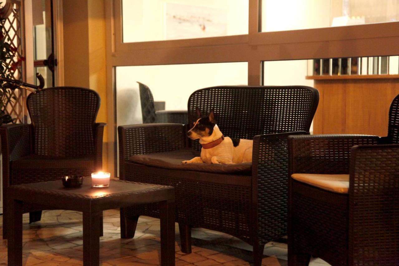 Hotel Alfa Anche In All Inclusive Rimini Ngoại thất bức ảnh